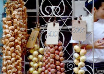 En Cuba existen instrumentos legales para que ningún caso de evasión fiscal quede impune