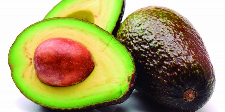El aguacate: un superalimento lleno de propiedades nutritivas