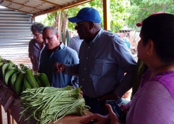 Intercambia Vicepresidente cubano con productores agrícolas de Artemisa