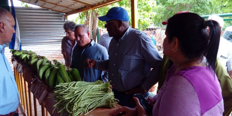 Intercambia Vicepresidente cubano con productores agrícolas de Artemisa