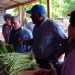 Intercambia Vicepresidente cubano con productores agrícolas de Artemisa