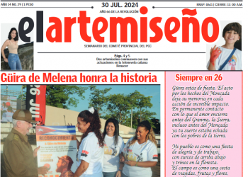 Edición 29 de el artemiseño