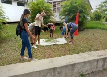 brigadas-estudiantiles-trabajo