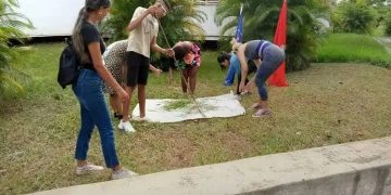 brigadas-estudiantiles-trabajo