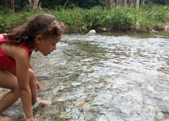 campismo-jardin-aspiro