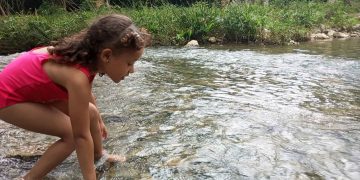 campismo-jardin-aspiro