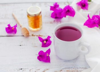 A lo natural: propiedades antihistamínicas de la bugambilia