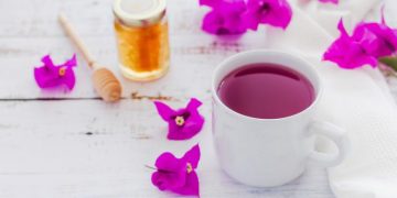 A lo natural: propiedades antihistamínicas de la bugambilia