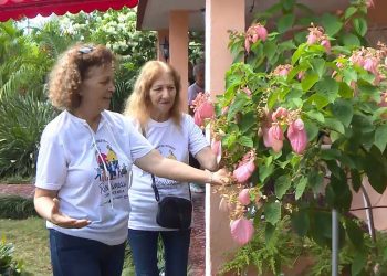 patios-san-cristobal