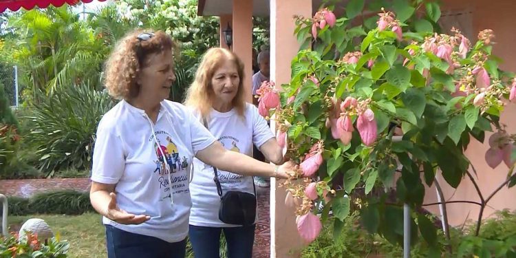 patios-san-cristobal