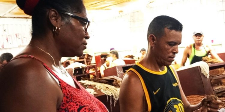 trabajadora-tabacalera