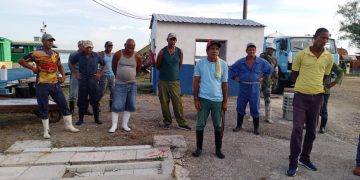 trabajadores-flogolfo