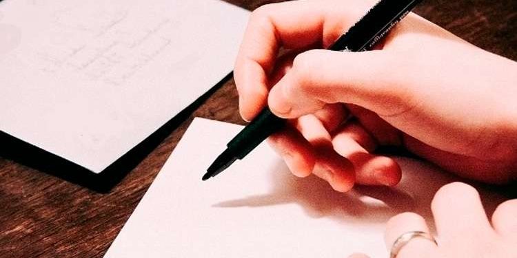 Beca de Creación Literaria Pupila Insomne 2024