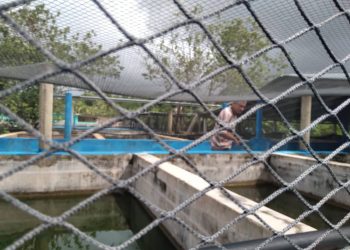 Empresa pesquera de Artemisa atenta a su costa sur