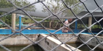 Empresa pesquera de Artemisa atenta a su costa sur