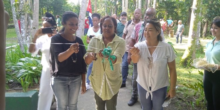 Crean Centro de Estudios y Servicios Ambientales de Artemisa