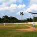 El próximo domingo reinician las acciones en la XII Serie Provincial de Béisbol en Artemisa