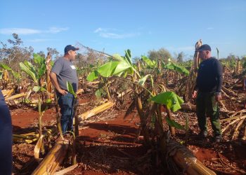 agricultura-alquizar