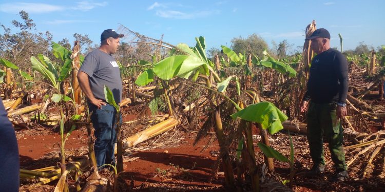 agricultura-alquizar