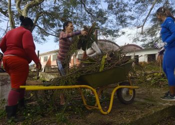 artemisa-recuperacion