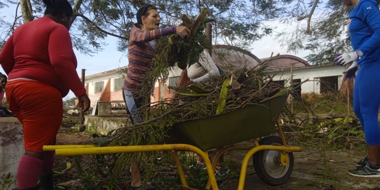artemisa-recuperacion