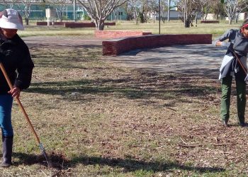 Manos a la obra en la Plaza Cultural