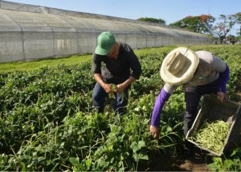 La batalla economica se gana en los territorios