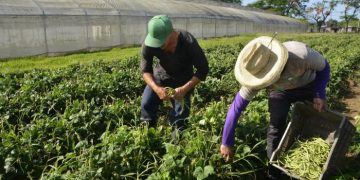 La batalla economica se gana en los territorios