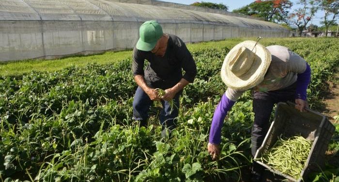 La batalla economica se gana en los territorios