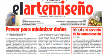 Edición 43 de el artemiseño