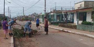 recuperacion-artemisa