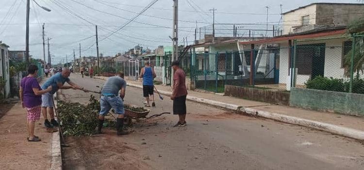 recuperacion-artemisa