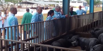 Elogia Díaz-Canel soluciones creativas en municipio de Artemisa