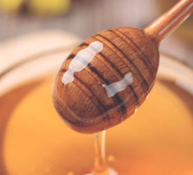 A lo natural: Martí un admirador de la medicina natural