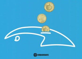 Mary Blanca Ortega calificó de aceptables los resultados de la campaña de declaración jurada del año 2024