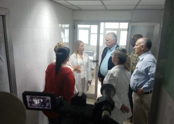 díaz-canel-artemisa