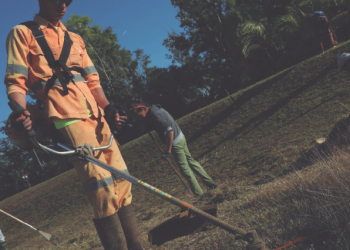 Después de chapear, la hierba debe ser casi imperceptible