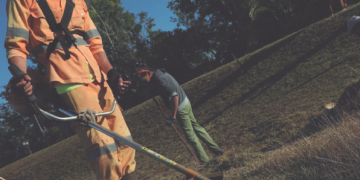 Después de chapear, la hierba debe ser casi imperceptible