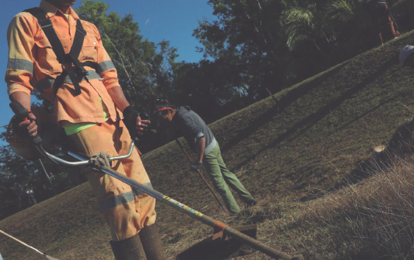 Después de chapear, la hierba debe ser casi imperceptible