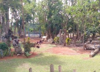 Recuperado el Bosque Martiano para el 28 de enero