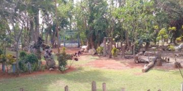 Recuperado el Bosque Martiano para el 28 de enero