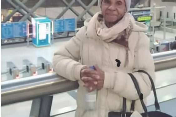 Dioni en un cielo de intensos colores