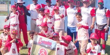 pequeñas-ligas-artemisa