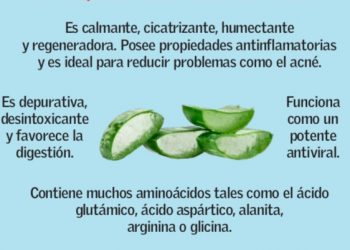 A lo natural: beneficios de la sábila