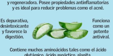 A lo natural: beneficios de la sábila
