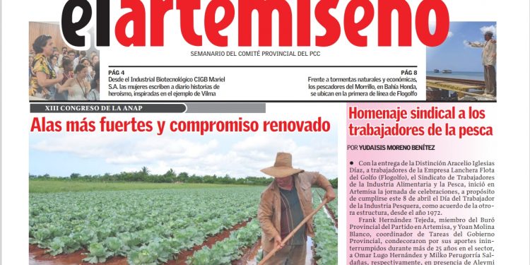 Edición 13 de el artemiseño