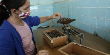 Catadora-de-café-Yuselis-Enrique