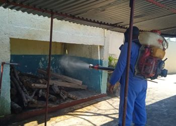 Durante los últimos años, una plaga de chinches coloniza, con brotes y rebrotes, al sector residencial y estatal en la provincia, sobre todo en el municipio cabecera