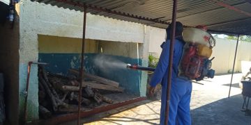 Durante los últimos años, una plaga de chinches coloniza, con brotes y rebrotes, al sector residencial y estatal en la provincia, sobre todo en el municipio cabecera