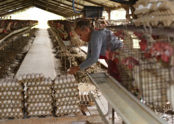 Navera Elvia Bofil Beamonte 1E8A4441